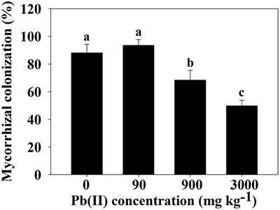 Subcellular Compartmentalization and Chemical Forms of Lead Participate in Lead Tolerance of Robinia pseudoacacia L. with Funneliformis mosseae